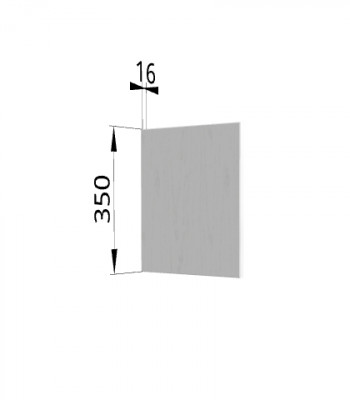 Панель торцевая (для шкафа горизонтального) ПГ Ройс (Графит софт) в Дубровино - dubrovino.mebel54.com | фото
