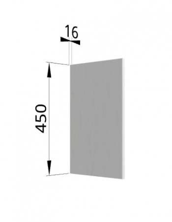 Панель торцевая (для шкафа горизонтального высокого) ВПГ Ройс (Графит софт) в Дубровино - dubrovino.mebel54.com | фото